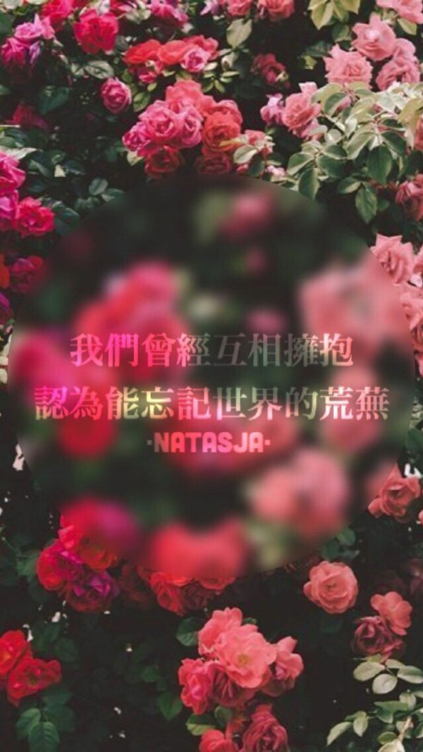 你留下，或者我跟你走